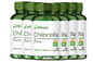 Chlorella Orgânica